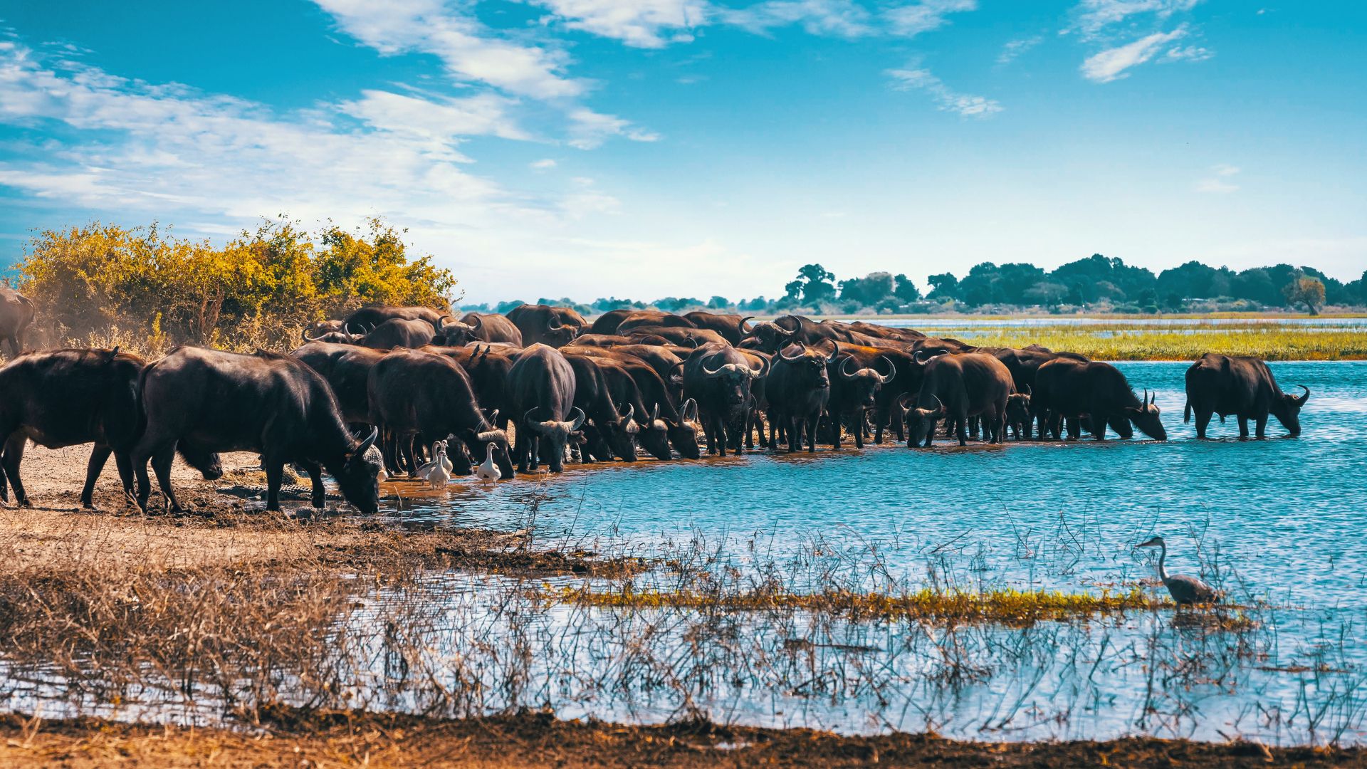 Lake Manyara