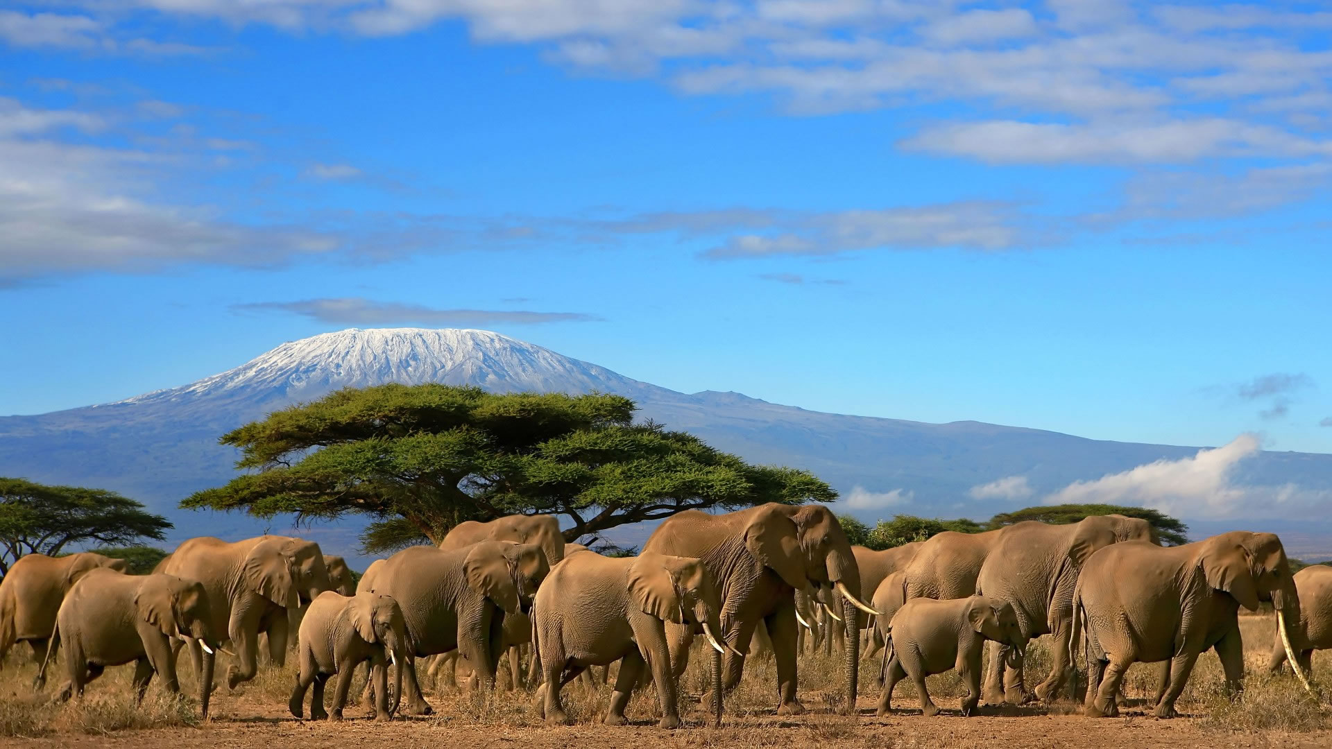 Amboseli