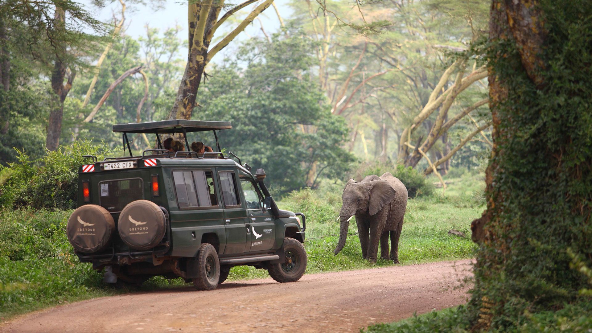 6 Days Manyara, Serengeti, Ngorongoro & Tarangire Safari