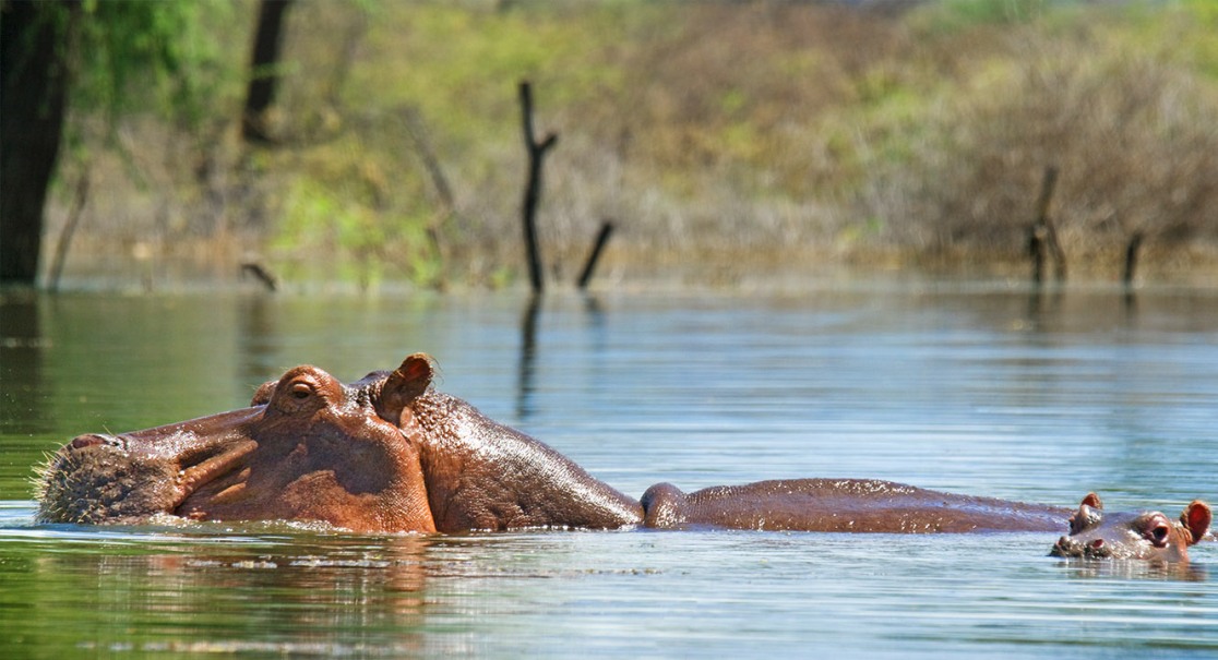 6 Days Mara & Rift Valley lakes