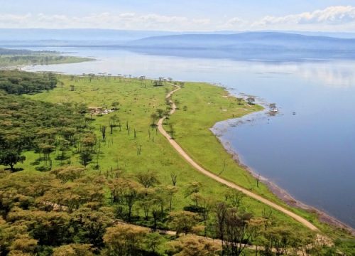 Lake Nakuru National Park Day Trip