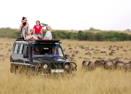 4 Days Masai Mara Wildlife Safari