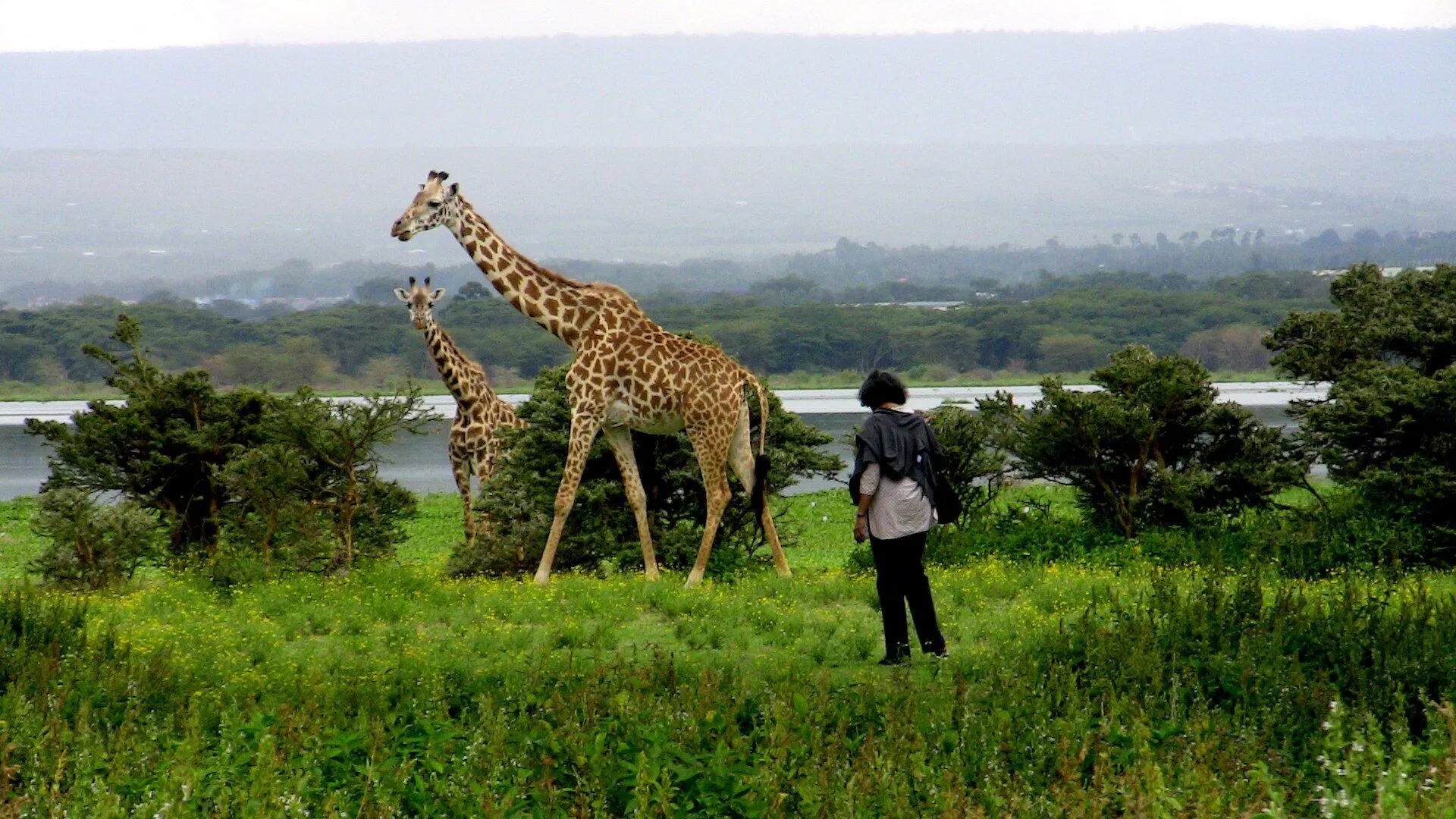 Lake Naivasha