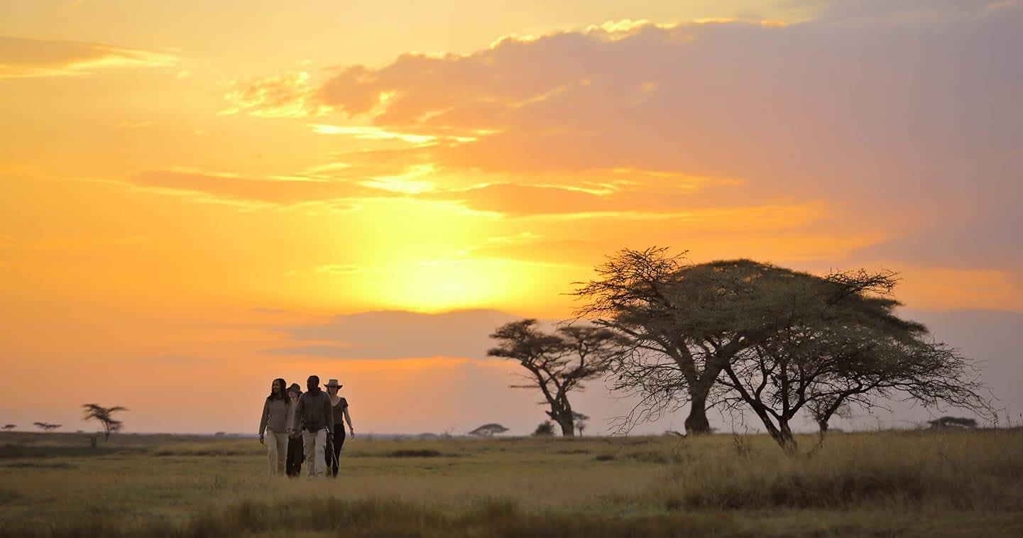 4 Days Serengeti & Ngorongoro Safari Adventure