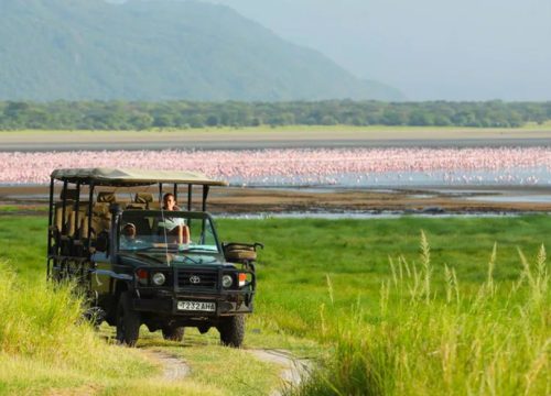 3 Days Lake Manyara & Ngorongoro Wildlife Safari