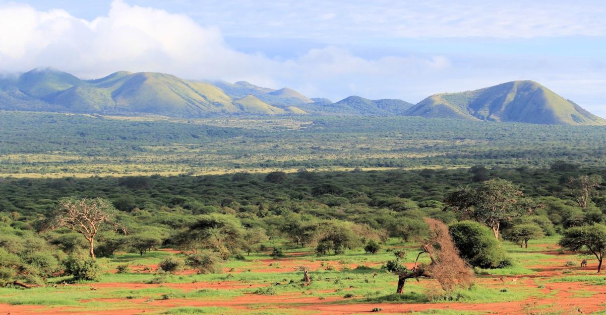 Tsavo West