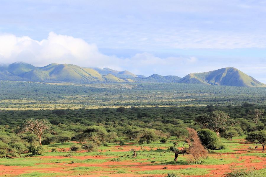 Tsavo West