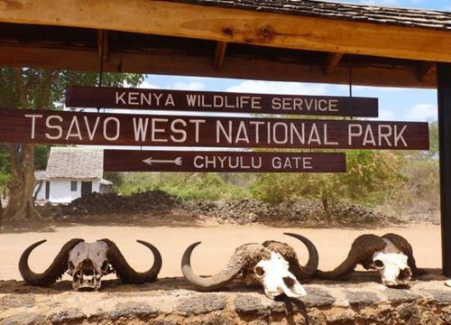 4 Days Amboseli, Tsavo West & East Safari